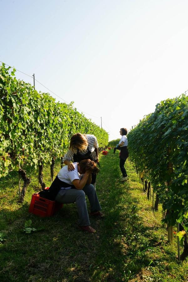 Agriturismo Il Gioco Dell'Oca Barolo Exterior foto