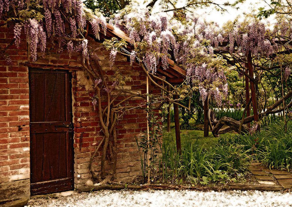 Agriturismo Il Gioco Dell'Oca Barolo Exterior foto